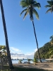 Marigot Bay 3_1