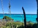 Tobago _1