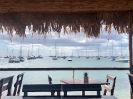 Deshais Guadeloupe_1