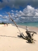 Einsame Strände Barbuda_1